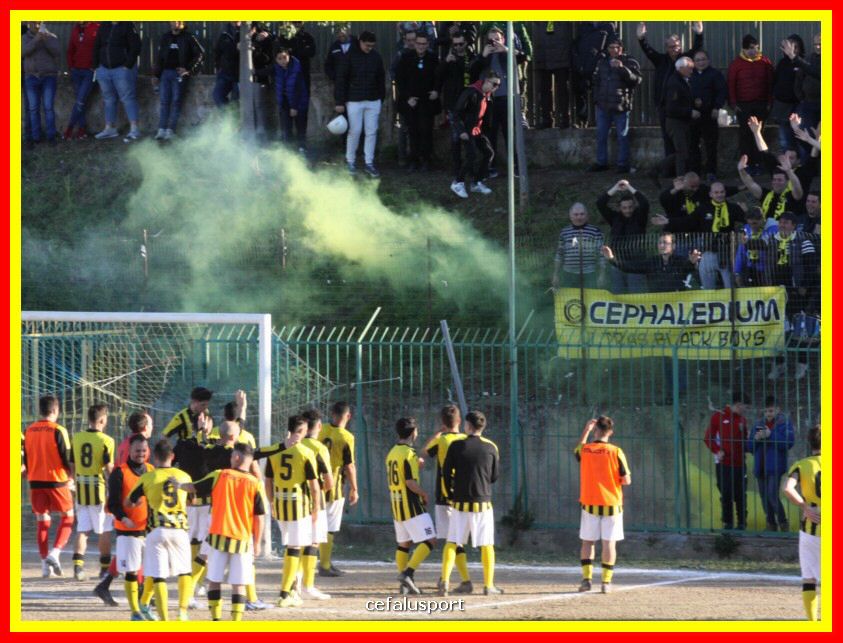 190310 Cephal_Torrenov 223_tn.jpg